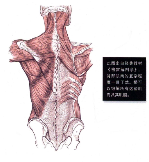 blog_20250712220814.png