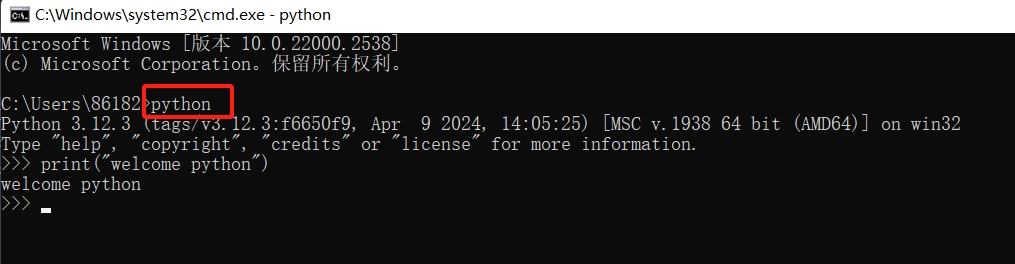python_20240419201921.png