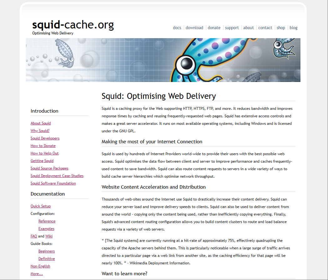 squid_20250908105143879.png